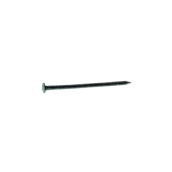 Common Nail, 2-1/2 in L, 8D, Steel, Hot Dipped Galvanized Finish, 11.50 ga